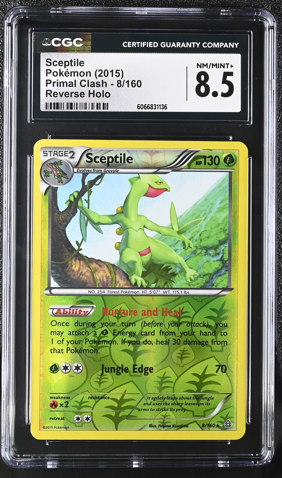 CGC 8.5 Sceptile 2015 Primal Clash 8/160 Reverse Holo Pokemon Card