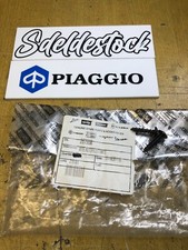 2 viti aprilia gilera vespa piaggio 267958 1A006633 shiver nexus nrg et4 sona...