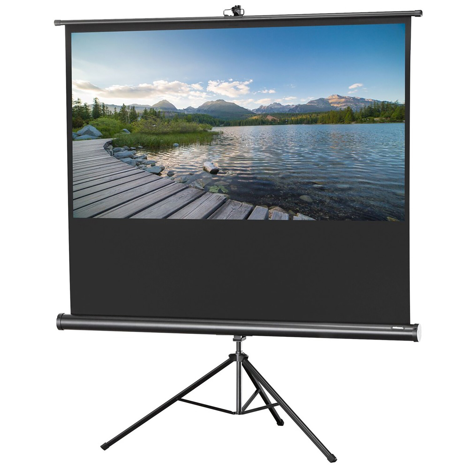 Celexon Stativleinwand 184x104 Cm