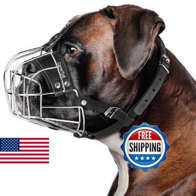 CleverTail Metal Muzzle for Boxer Dog Breed   Bite Proof Boxer Muzzle for Medium