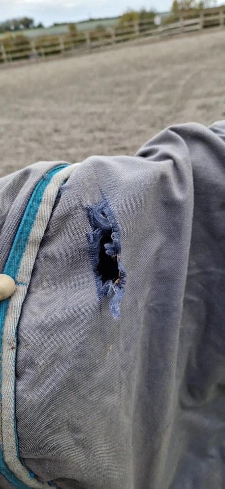 Premier Equine Turnout Rug - Image 4 of 4