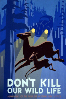 DON'T KILL OUR WILD LIFE DEER NIGHT ROAD CAR PARK FOREST VINTAGE POSTER REPRO