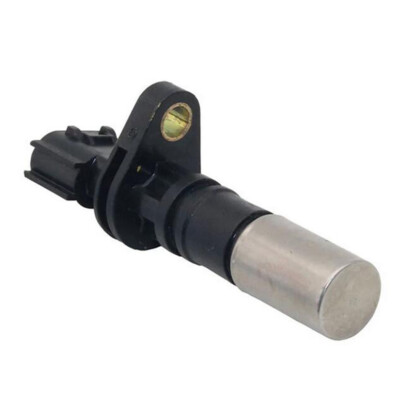 あんず 🍊セミドライあんず(半生) 100g | yokoshima anzu store (横島