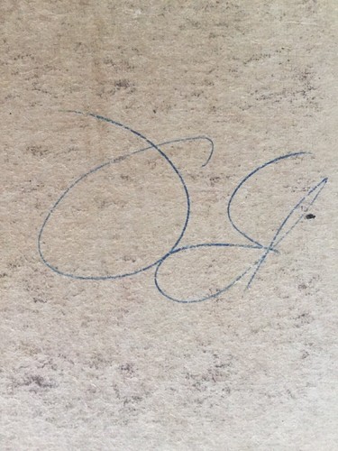 Automagic Auto-magic Bingo New Flamingo - Picture 9 of 12