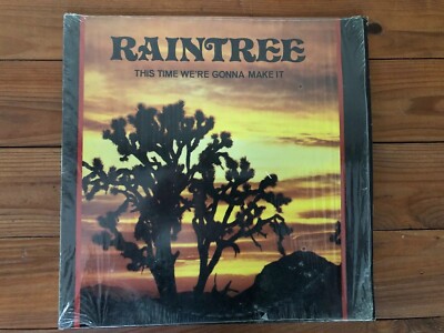 Raintree    This Time We're Gonna Make It 1977 Private Press NR 8658 Vinyl NM-