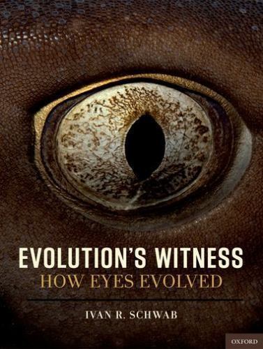 Evolution's Witness: How Eyes Evolved, Schwab, Ivan R, 9780195369748