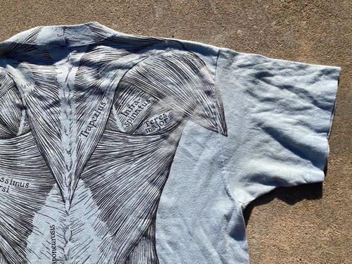 Vintage 1977 Leslie Arwin Muscle Anatomy T-Shirt Mens X-Large - Picture 17 of 19