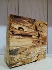 XL Wicked Wormy AMBROSIA ARCE Madera Burl En Blanco MADERA ESTABILIZADORA/EPOXI Madera artesanal
