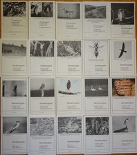 20 Ex Dendrocopos: Faunistik Floristik und Naturschutz im Regierungsbezirk Trier