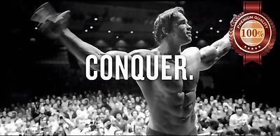 CONQUER ARNOLD BODYBUILDER MR OLYMPIA SPORT WALL QUOTE PRINT PREMIUM POSTER