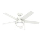 HUNTER  Decorative Ceiling Fan,46'' L,120VAC 50AL66