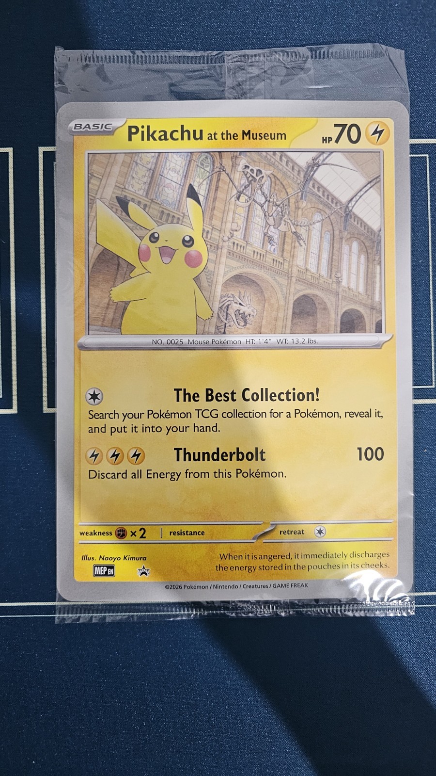 Pokemon TCG Pikachu At The Museum Jumbo Promo Card Sealed