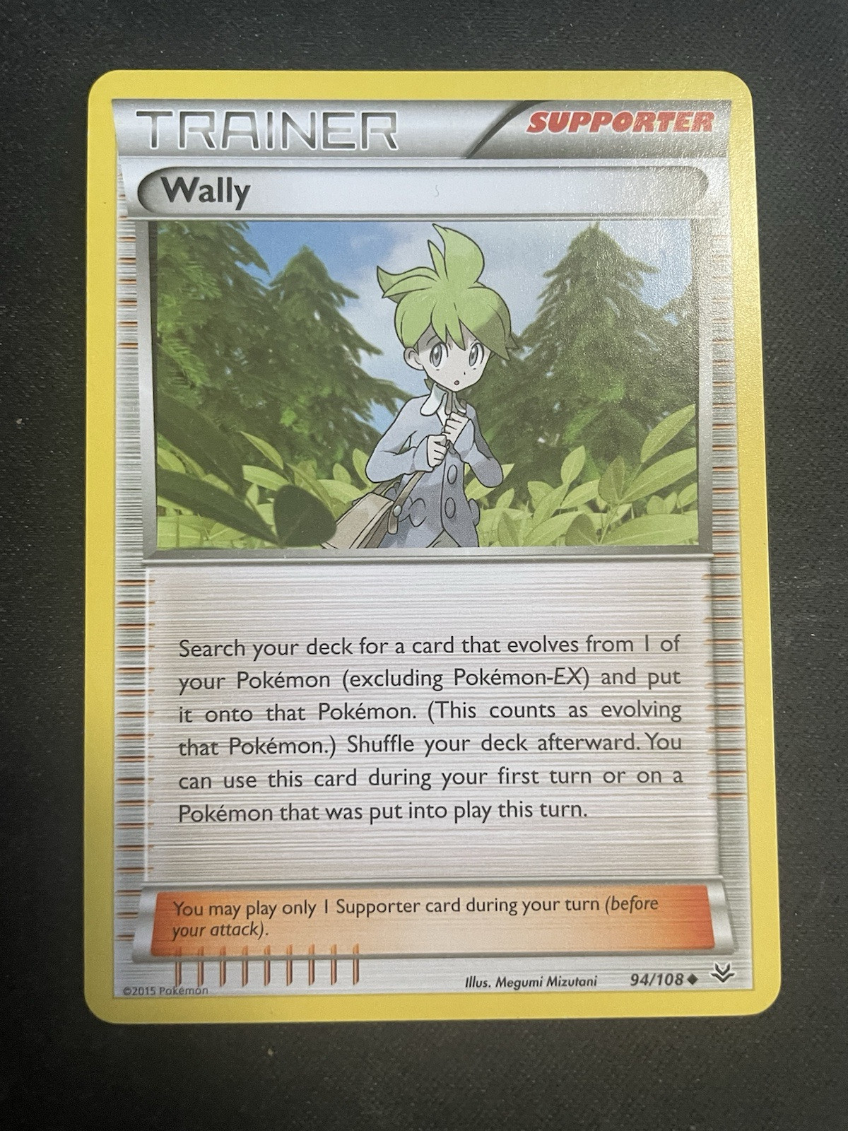 Wally 94/108 XY Roaring Skies Uncommon Pokemon TCG Card English NM