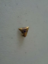38th SS 20 Lapel Pin Vintage Tiny Unsure Religious? Military? Fraternal? Help