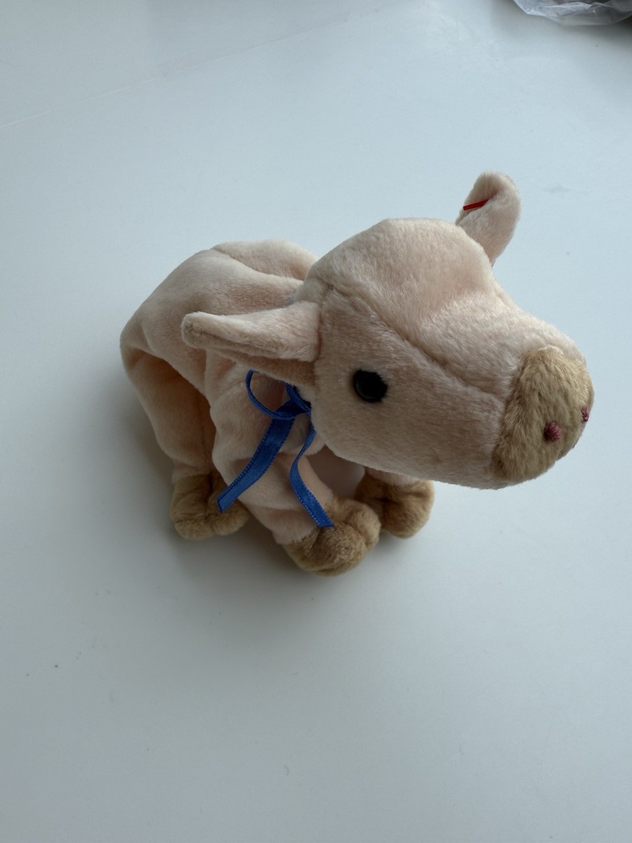 TY Beanie Baby Knuckles the Pig 1999 Brand New UK