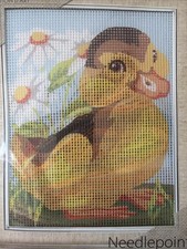 Collection D Art Printed needlepoint tapestry kit With Floss Needle 20x25 Cm