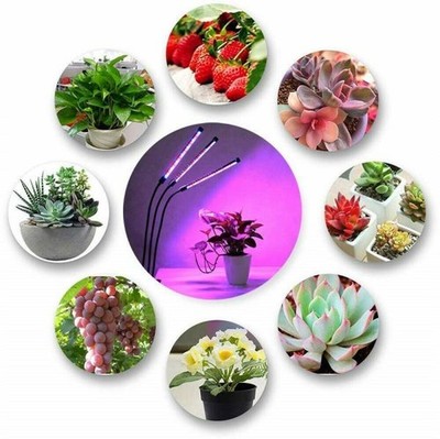 【はるplants】 s-l400.jpg