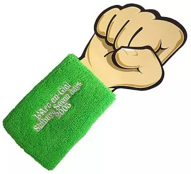 LArc en Ciel Wristband Green Accessories 2003 Used Japan Import