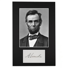  on The Hot Collector