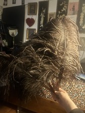 1920s Antique Black Ostrich Feather Fan