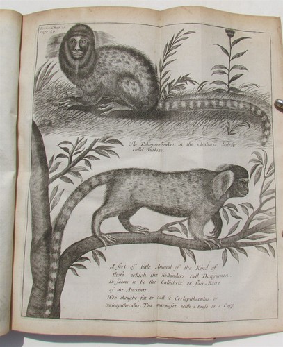 1682 HISTORY of ETHIOPIA KINGDOM OF ABESSINIA ILLUSTRATED antique in ENGLISH - Picture 8 of 12