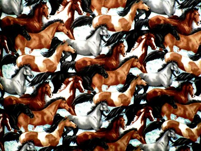 New Off the Bolt: Studio E Horse Whisper  100% Cotton   SALE $5.00