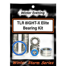 Winter Evening - Losi TLR 8IGHT-X Elite Bearing Kit