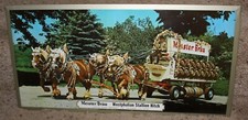 MEISTER BRAU 1950s Vintage Tin Beer Sign Westphalian Stallion Hitch EX++