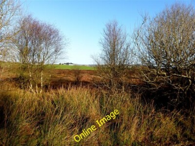 Foto 6x4 Killeenan Townland Drumshanbo\/H7378 abgebildet entlang Killeenan c2014