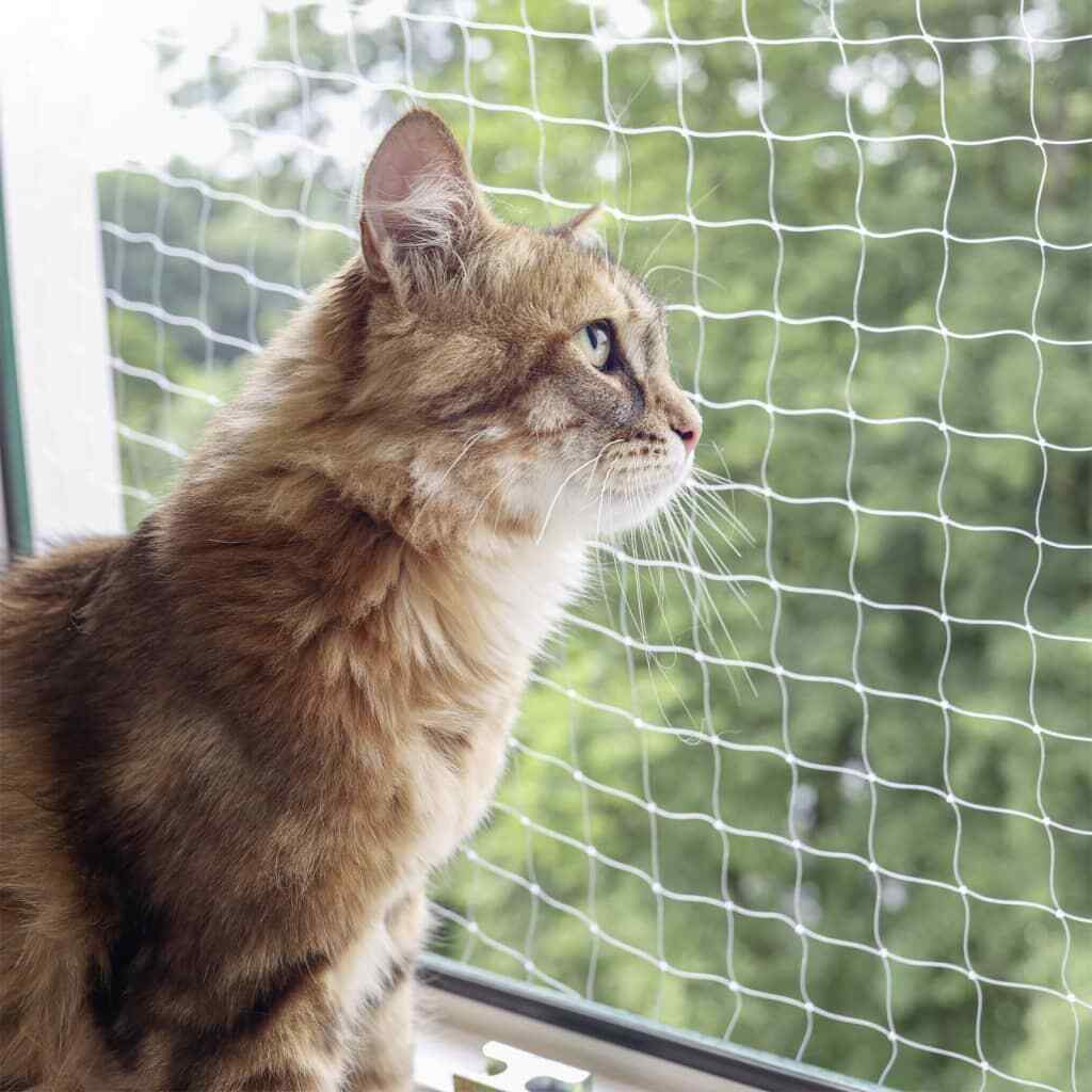 Kerbl Red de Seguridad para Gatos Malla Balcones Ventanas Puertas Transparente