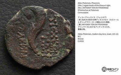 *Akko-Ptolemais, Phoenicia Coin w/Description Card [E14532]8g4