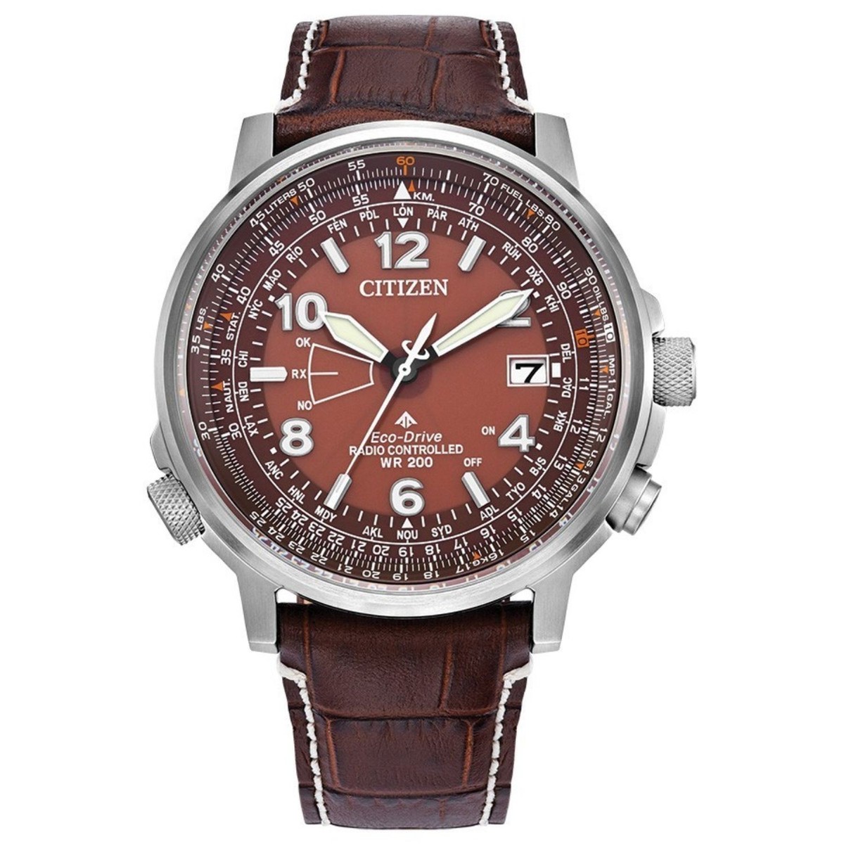 Citizen Men's Watch Promaster Sky Eco-Drive Brown Dial Leather