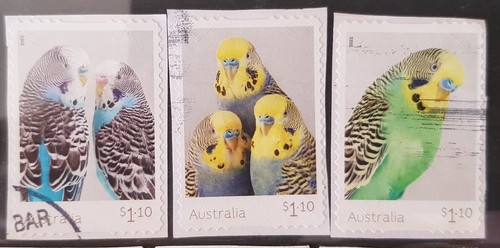 Australia 2022 Budgerigars complete set 3 P&S stamps fine used on paper