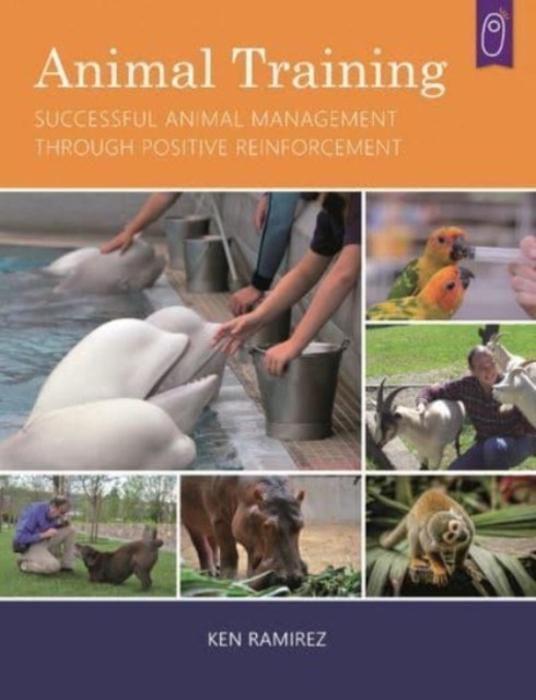 Animal Training: Successful Animal Management Through by Ken Ramirez PAPERBACK - Image 3