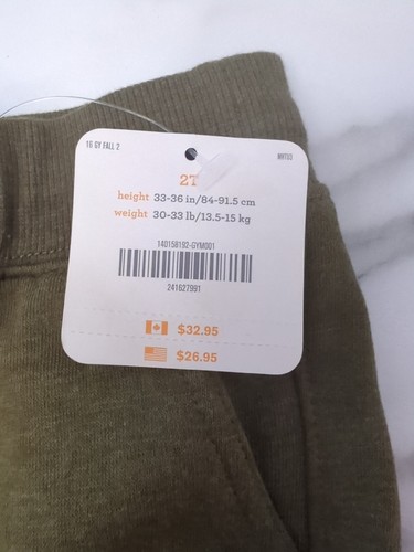 NWT Gymboree Boys Pull on Cargo Pants Green Sweatpants 2T - Picture 3 of 3