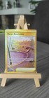 Carte Pokémon Marais Bouchebée 213/195  EB12 Tempête Argentée FR Neuf