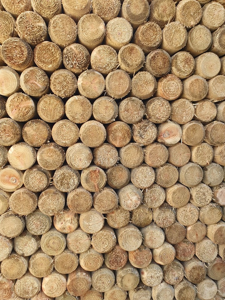 Round Fence Posts | Treated Timber | Multiple Sizes & Pack Quantities ...