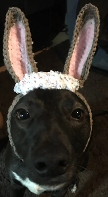 easter hats for dogs