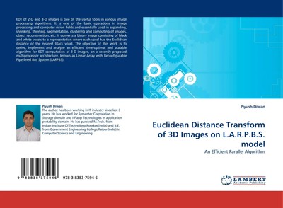 Piyush Diwan | Euclidean Distance Transform of 3D Images on L.A.R.P.B.S. model