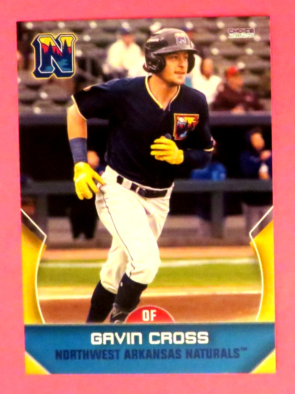 2025 Choice, Northwest Arkansas Naturals - GAVIN CROSS