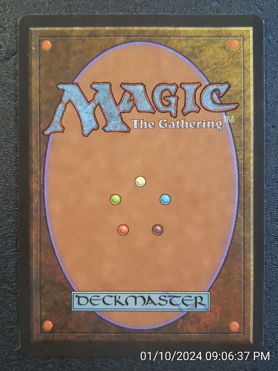 Soldevi Adnate Alliances MINT UN-PLAYED ITALIAN MTG CARD (DS3D1C3