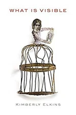 What Is Visible : A Novel Hardcover Kimberly Elkins