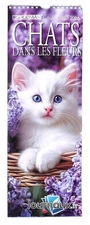 CHATS DANS LES FLEURS CALENDRIER   23 12  2025