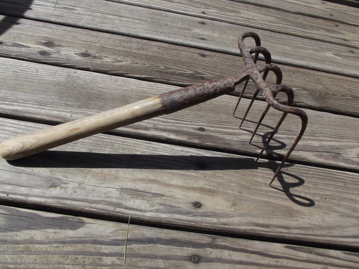 Vintage Maine Coast Clam Digger's Rake - Original Steamer Fork