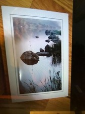 ORIGINAL Photograph by PIAGESI "Pondering" matted Made in USA