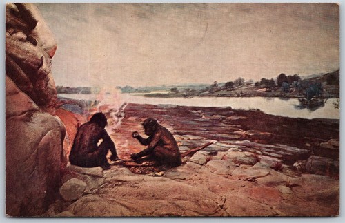 Vtg Restoration Of Chellean Scene Chicago Natural History Museum Postcard