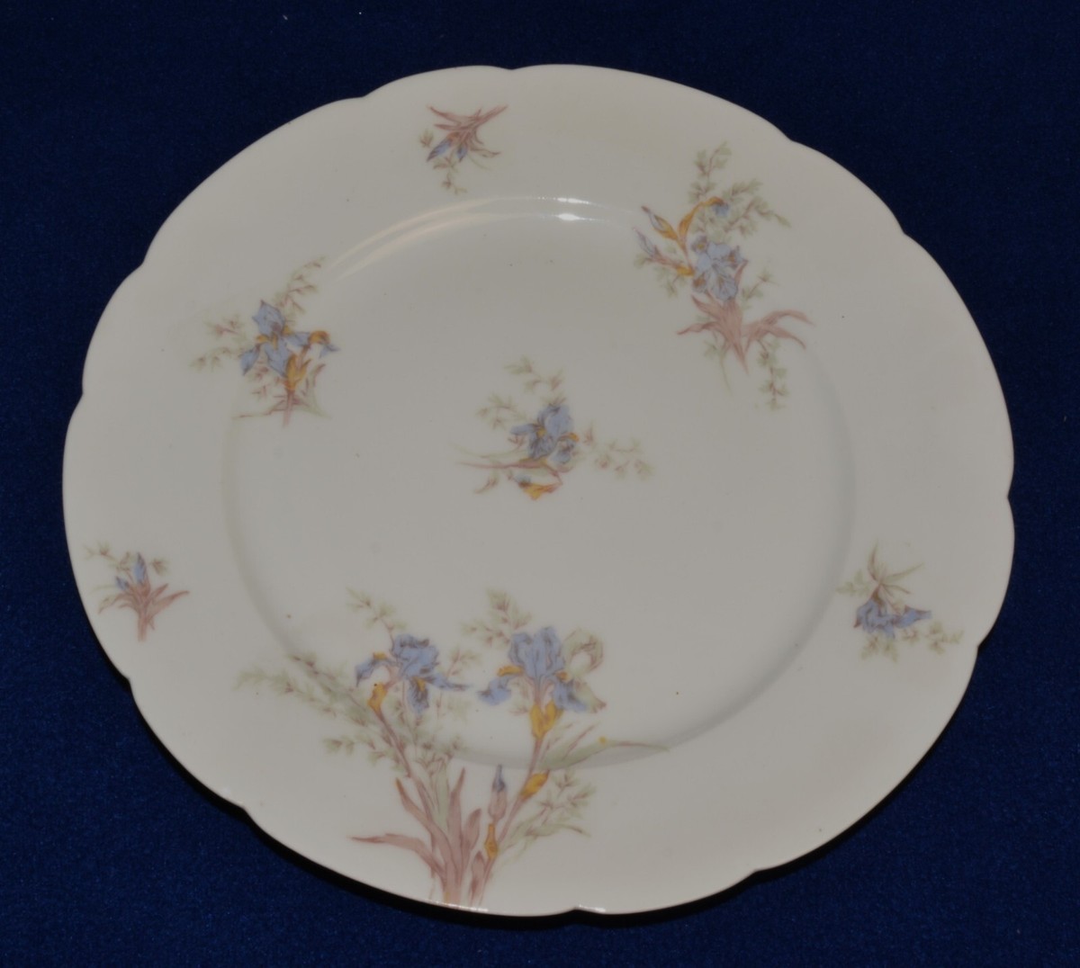 Antique CH FIELD HAVILAND Limoges Fine China Light Blue IRIS 8 1/2