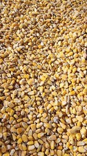 Bird food / Animal feed / Whole kernel corn / Yellow Corn / Natural /