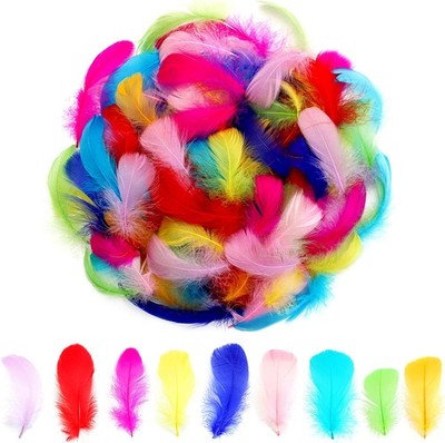 300pcs Colorful Feathers 2-3 Inches Bulk Feathers for Crafting, Dream Catcher Ac