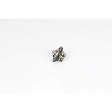 Thermostat Audi 50